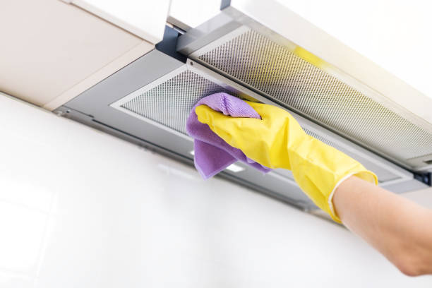 Air Duct Mold Removal in Cudjoe Key, FL